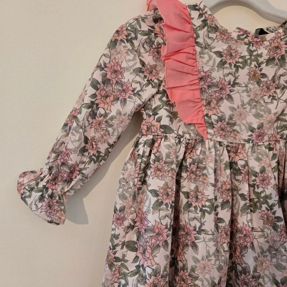 Dolly Wears Toddler Girls Floral Ruffle Dress Pink Rose Long Sleeve 18-24 Months